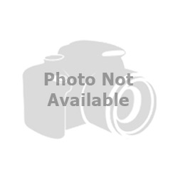 Ms. Amanda Miller
Teacher Position, No. 1
Term Expires: 6/30/2025